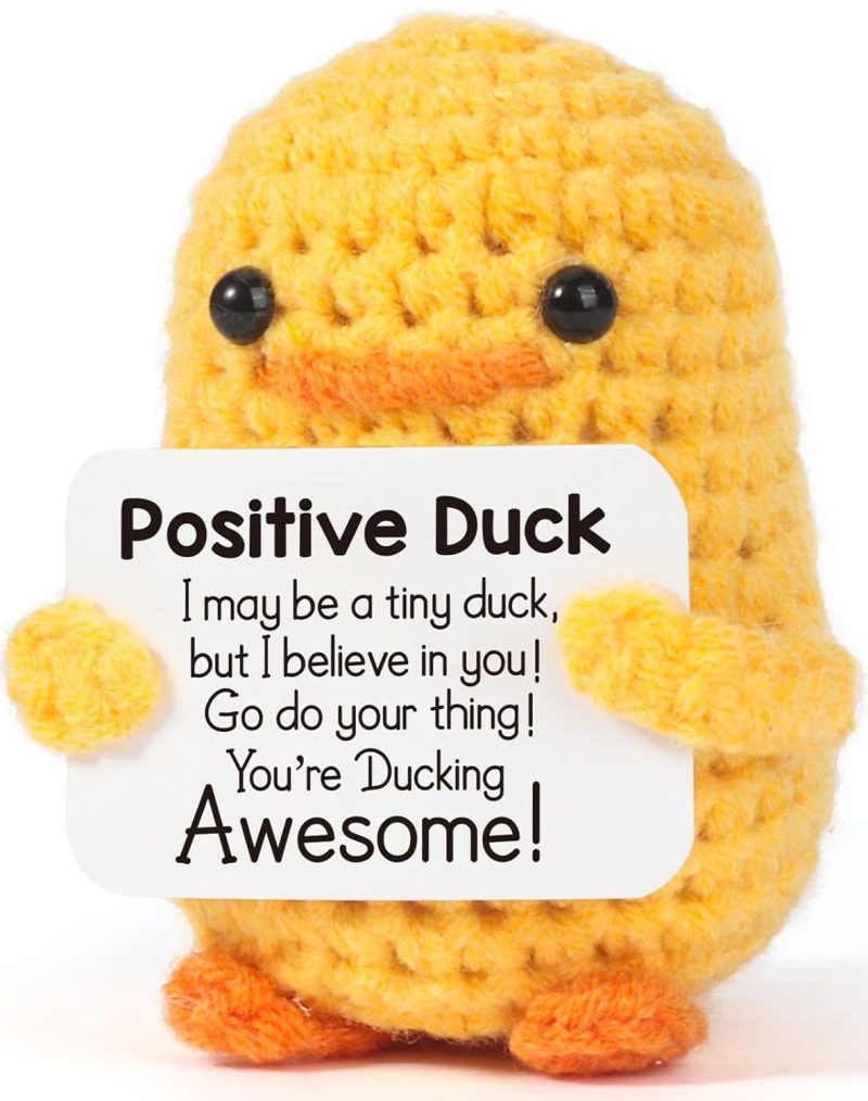 Emotional Support Pickle Duck Gift - Funny Cute Positive Incentive Present for Friends, Coworkers, Men, Women, Birthday, Office Desk